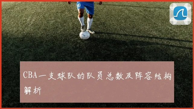 CBA一支球队的队员总数及阵容结构解析