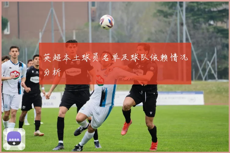 英超本土球员名单及球队依赖情况分析