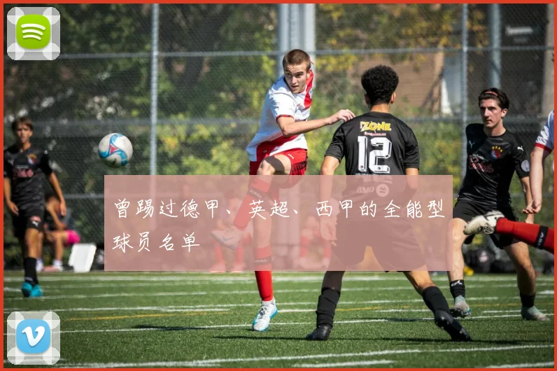 曾踢过德甲、英超、西甲的全能型球员名单