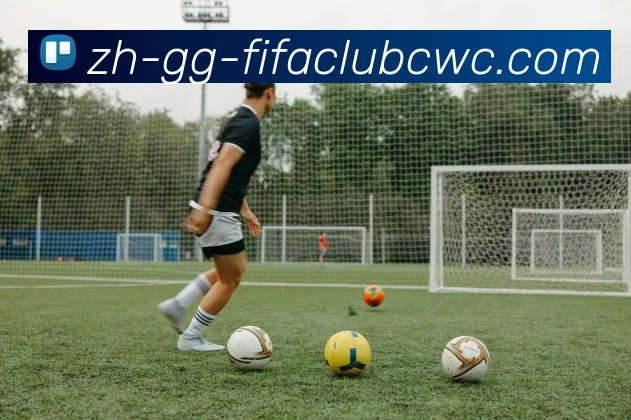 世界杯平台APP 封面图